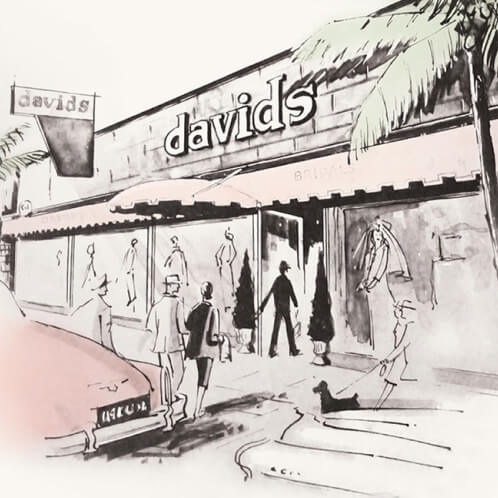 discover why david’s